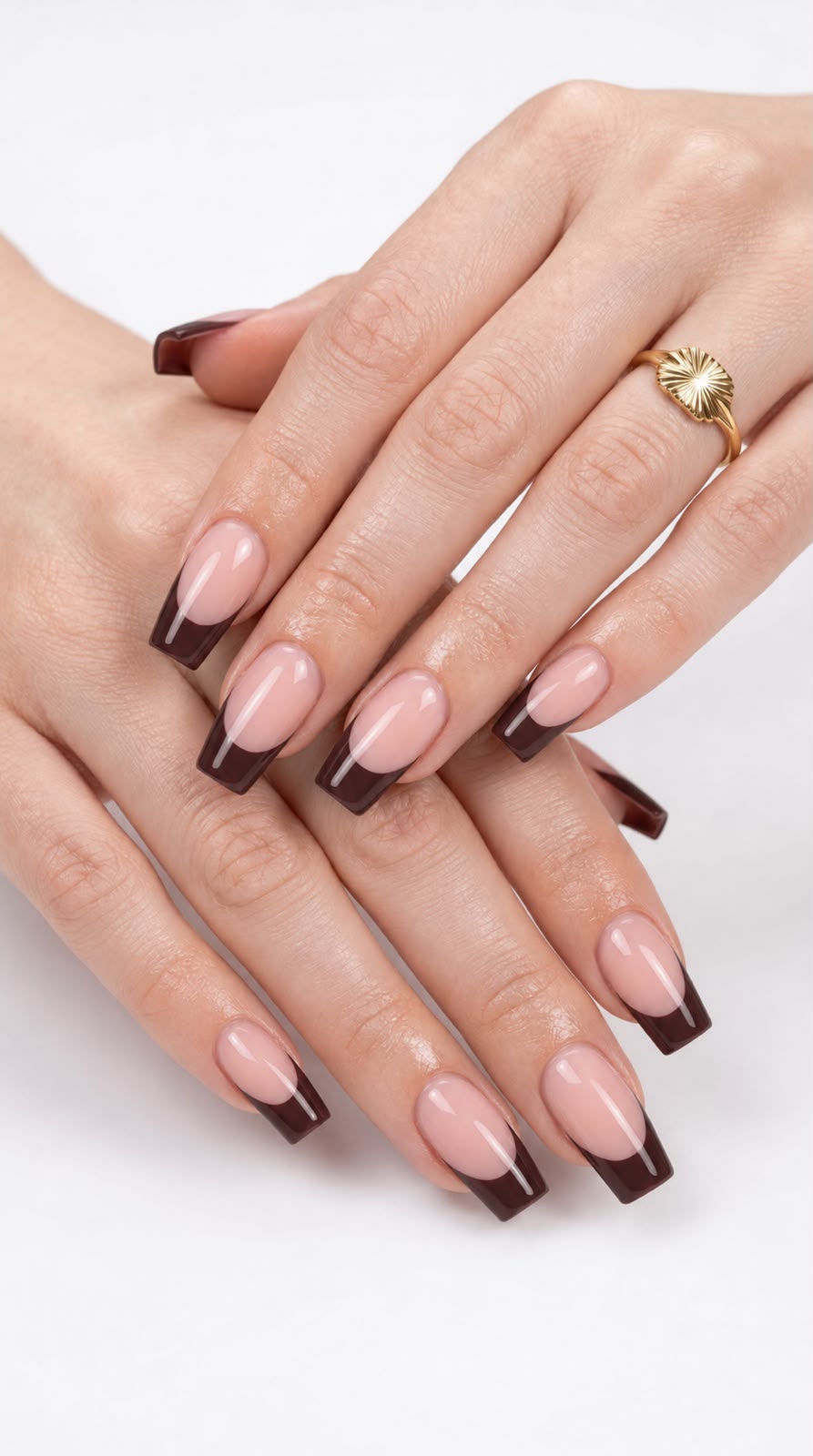 French with Chocolate Brown